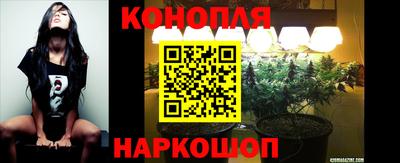 трава Малгобек