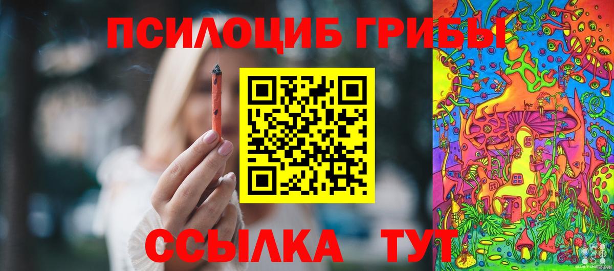 Галлюциногенные грибы прущие грибы  Вход с VPN  Электрогорск 